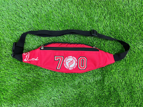 P.S. 70 The Max Shoulder Pack